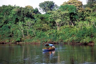Colombia Amazonas Rio Loreto Yacu 