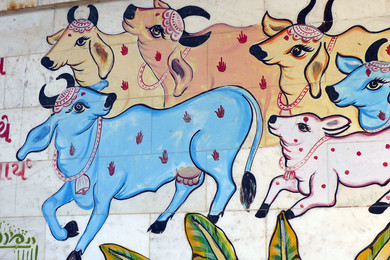 india-gujarat-dwarka-murale-con-mucche 
