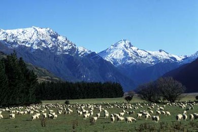 Nuova Zelanda Haast Pass 