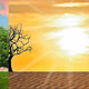 L'ETERNA ESTATE
